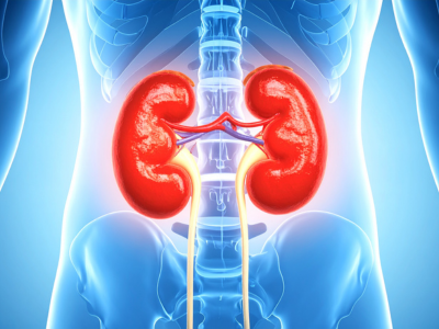 Kidney and Urological Conditions - kulkarnisclinic.com